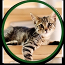 Southwest Dr Animal Clinic - Veterinarians