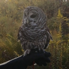 Irvine Nature Center