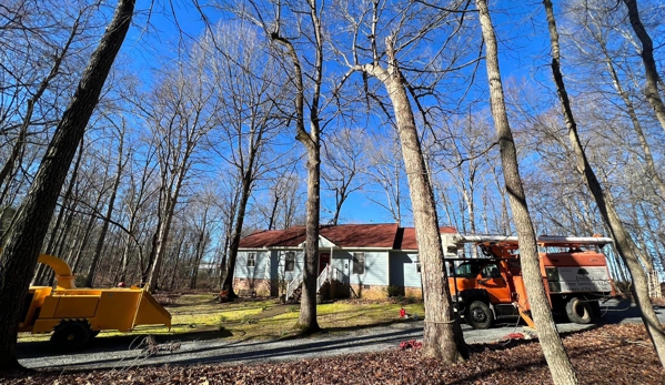 Erwin's Tree Service & Lawn Care - Marshville, NC