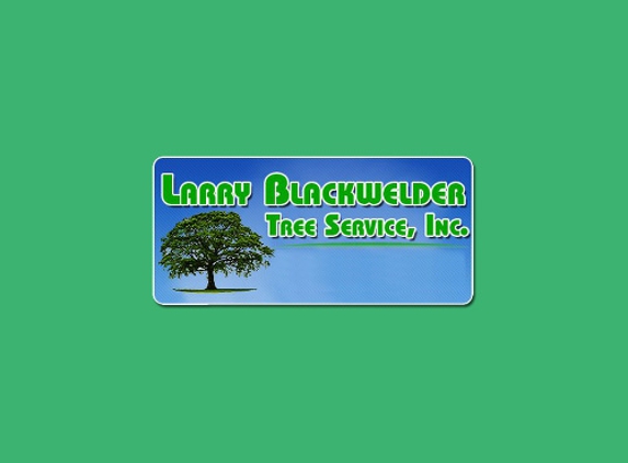 Larry Blackwelder Tree Service, Inc. - De Leon Springs, FL. Tree Service