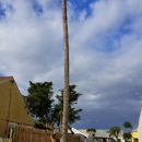 Villatoro Tree Service - Tree Service