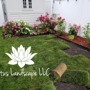 Lotus Landscape LLC