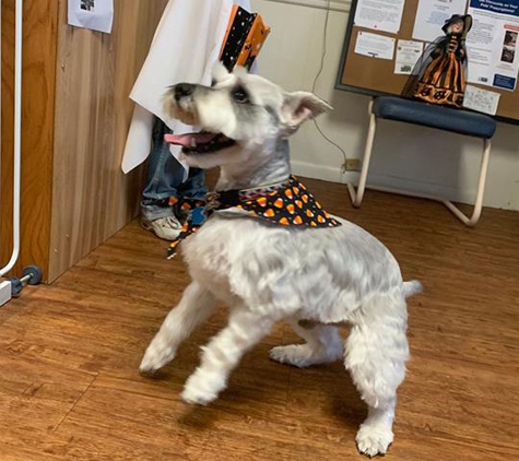 Raven's Pampered Pets Salon - Muscatine, IA