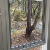 Gallery Image Number 3