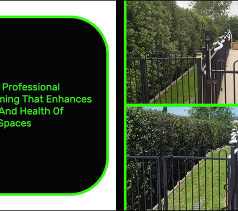 Rob's Tree Service - Tyers, VIC. Trust Us For Professional Hedge Trimming That Enhances The Beauty And Health Of Your Green Spaces