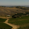 Daou Vineyards gallery