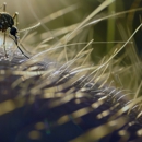 Busy Bee Acres - Pest Control Equipment & Supplies