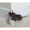OnSite Pest Control gallery