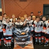 Nashville Youth Hockey League (Nyhl) gallery