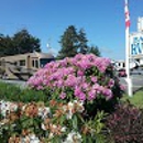 Bandon RV Park - Campgrounds & Recreational Vehicle Parks