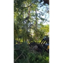 Airborne Tree Service - Tree Service