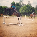 North Houston Horse Park - Horse Training