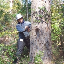 Audubon Land Clearing - Tree Service