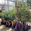 Tractor Supply Co - Garden Centers