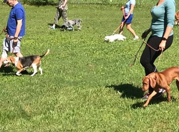 Taking the Lead K9 Training - Alpharetta, GA