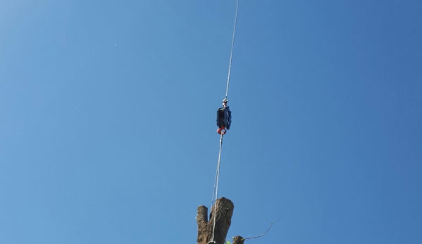 Wild Bills Tree Service - Bountiful, UT