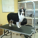 Iron Pet Mobile Grooming & Salon - Pet Grooming