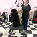 Fabulous Fido - Pet Grooming