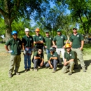 Arborlogical Trees & Turf - Tree Service