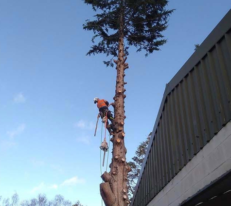 Horizon Tree Service - Brighton, TAS