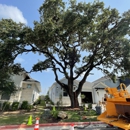 Texas Tree Removal and Trimming - Tree Service