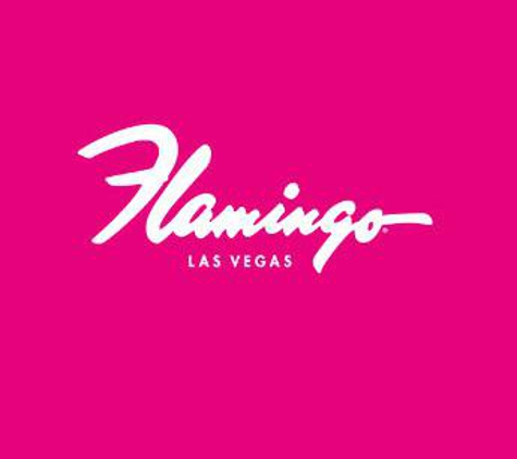 Flamingo Family Pool - Las Vegas, NV