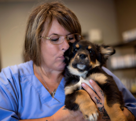 Wewoka Animal Hospital - Wewoka, OK