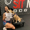 Sit Means Sit Dog Training Orlando gallery