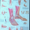 Orlando Foot & Ankle Clinic gallery