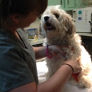 Bloomingdale Animal Hospital - Veterinary Clinics & Hospitals