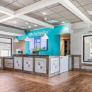 Pet Paradise - Hostels