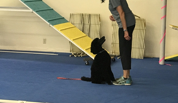 Topnotch K9 Training - Pleasanton, CA