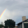 The Green Mesquite BBQ gallery