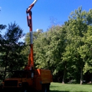 Olivias Tree Service - Tree Service