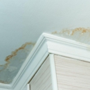 Platinum Property Restoration Inc - Water Damage Restoration