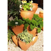 Gallery Image Number 6