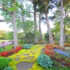 Gurley's Azalea Garden gallery