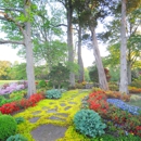 Gurley's Azalea Garden - Nurseries-Plants & Trees