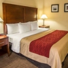 Comfort Inn & Suites gallery