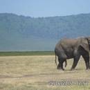 Open Africa Safaris - Tours-Operators & Promoters