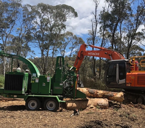 Livingstone Tree Service. Your Arboriculture Partner in Orange, NSW