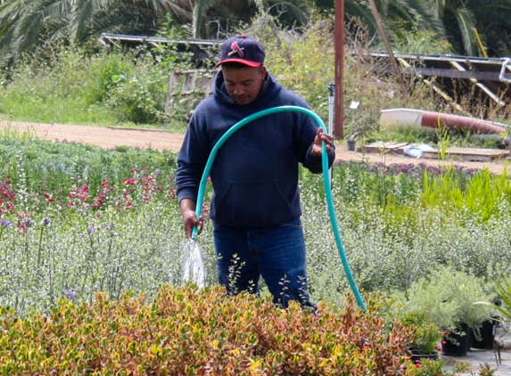 Green Earth Nursery - Carpinteria, CA