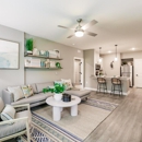 Vantage Apartments