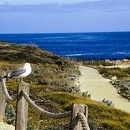 Asilomar Conference Grounds - Hotels