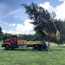 Tree Movers Inc - Tree Service