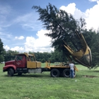 Tree Movers Inc