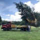 Tree Movers Inc