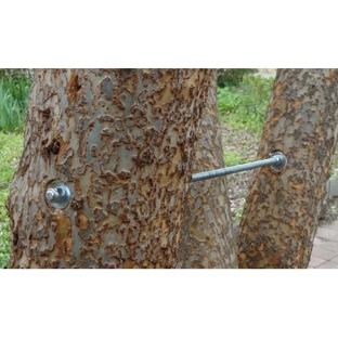 ACT Tree Felling