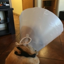 Heart of Texas Veterinary Specialty Center & 24 Hour Emergency Center
