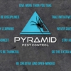 Pyramid Pest Control gallery